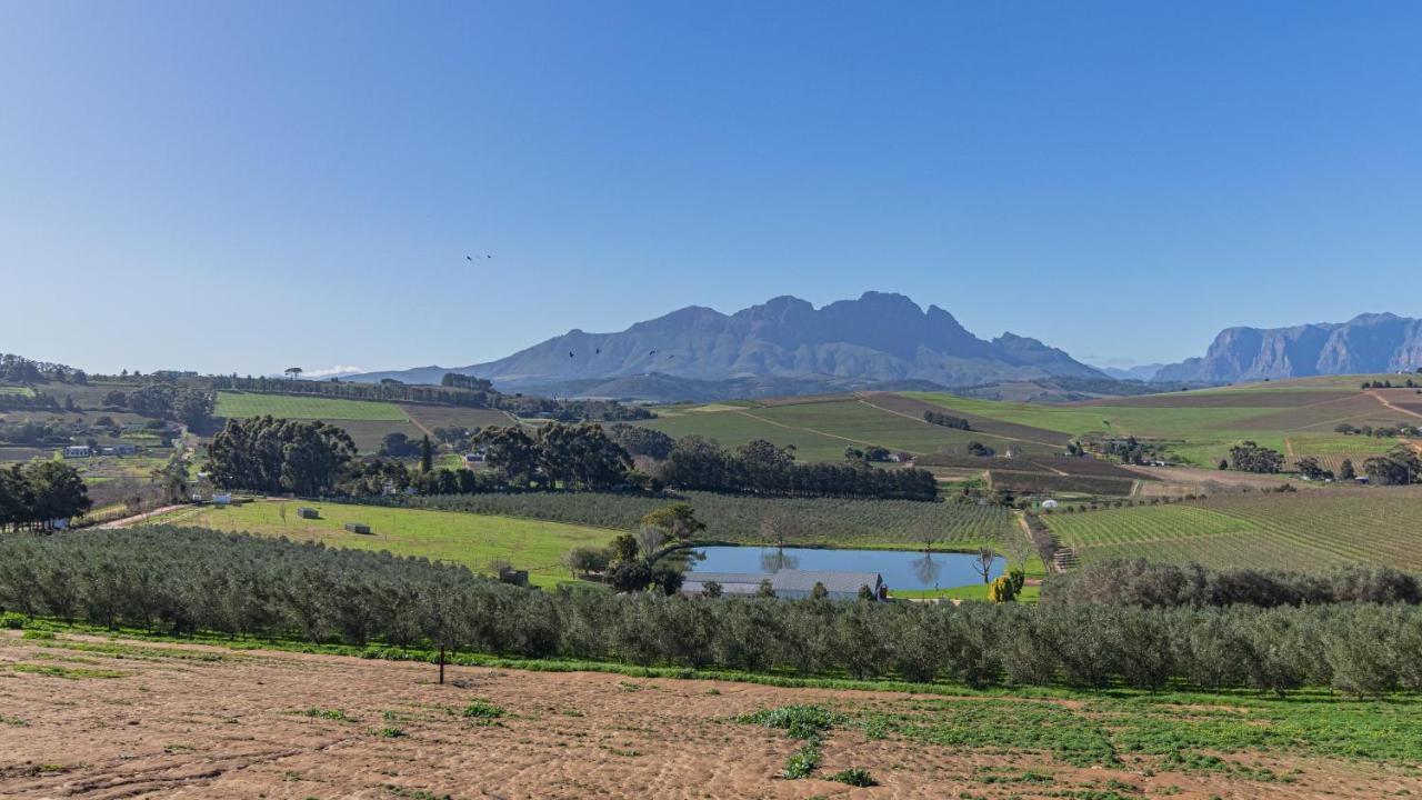 The Salene Hotel & Apartments Stellenbosch Dış mekan fotoğraf